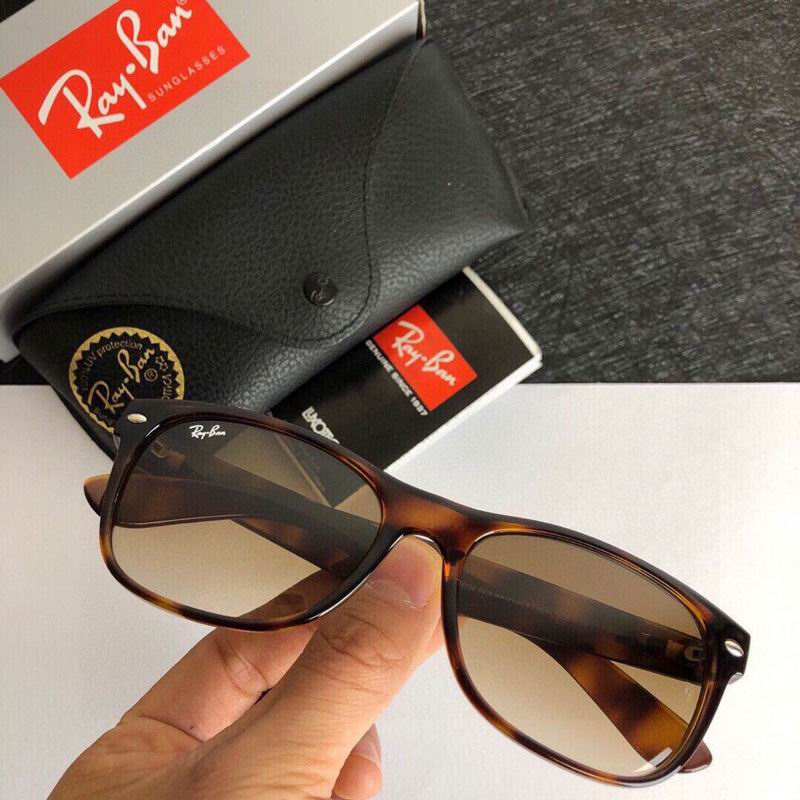 Rayban Glasses (393)